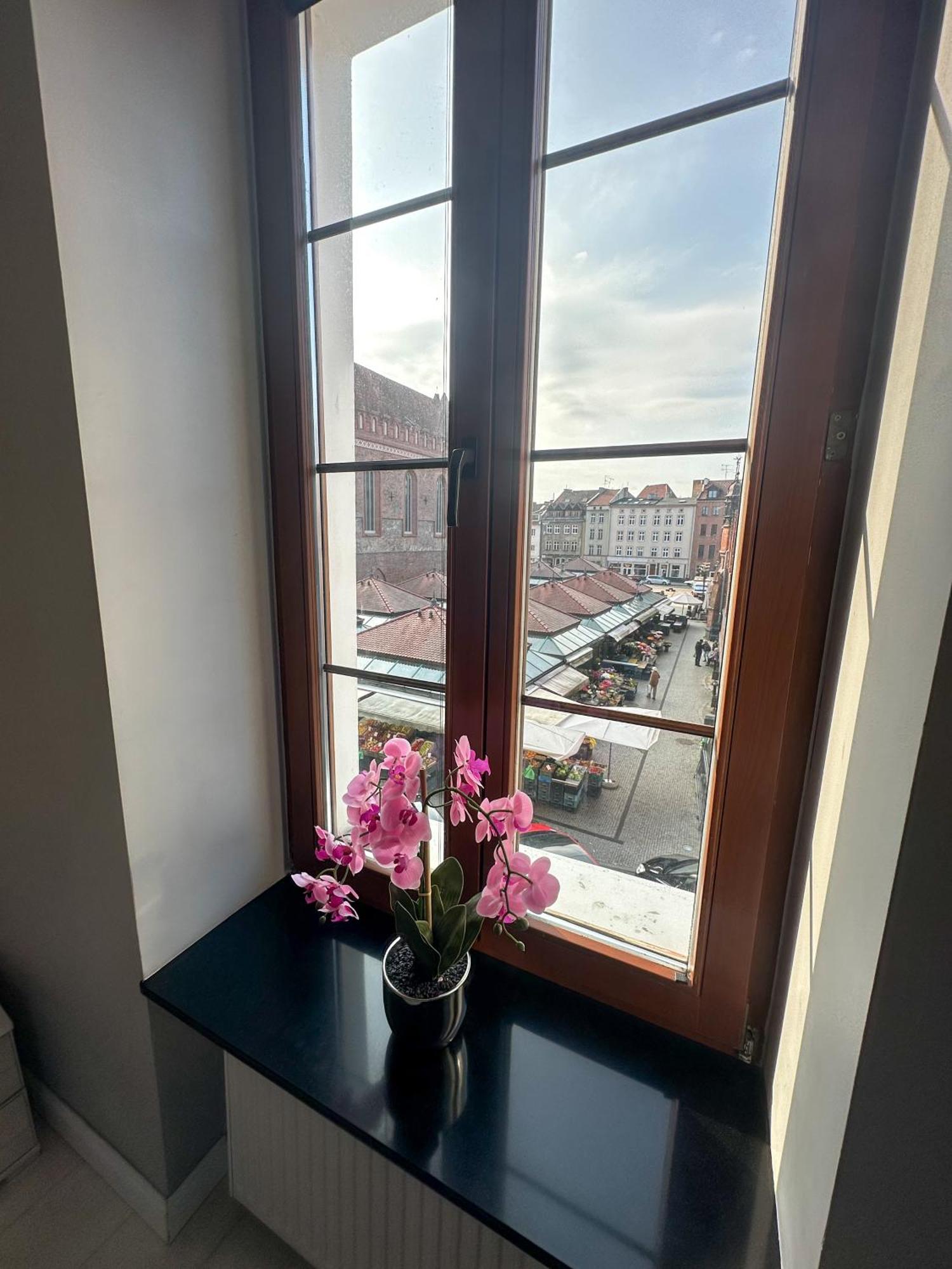 Euro Loft Old Town Apartament 格但斯克 外观 照片